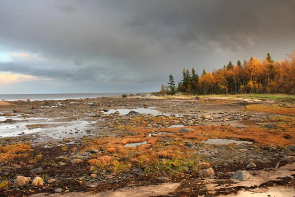 Vita havet — Stockfoto