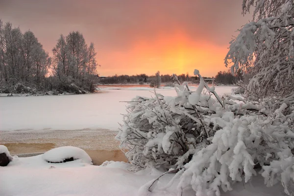 Invierno en Karelia — Foto de Stock