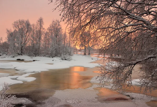 Zima w Karelii Zdjęcia Stockowe bez tantiem