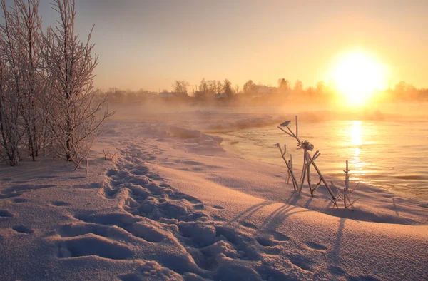 Winter in Karelien — Stockfoto