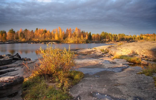Herfst in Karelië — Stockfoto