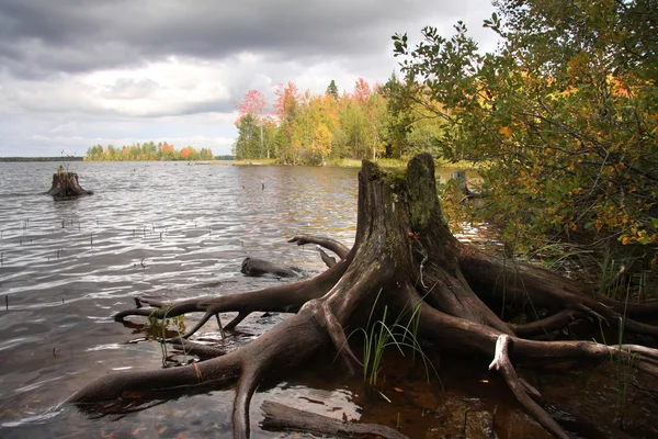 Herbst in Karelien — Stockfoto