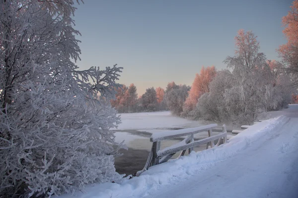 Inverno na Carélia — Fotografia de Stock