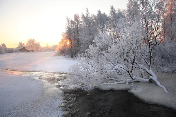 Invierno en Karelia — Foto de Stock