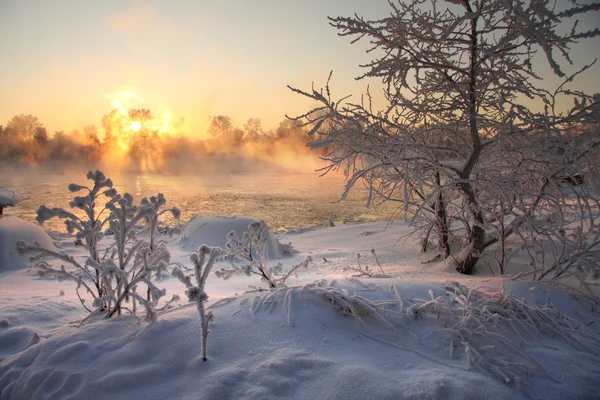 Invierno en Karelia —  Fotos de Stock
