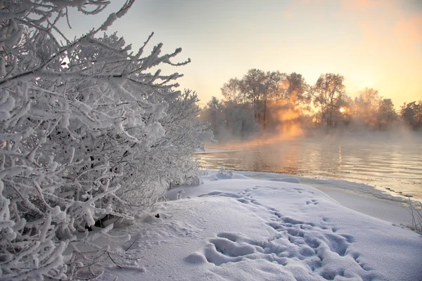 Invierno en Karelia —  Fotos de Stock