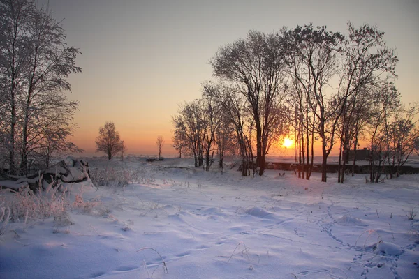 Зима в Карелии — стоковое фото