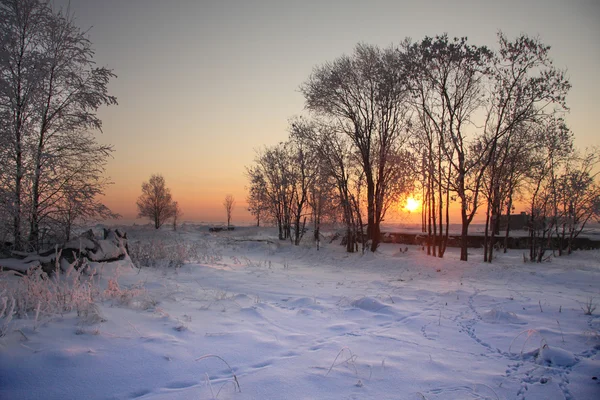 Inverno na Carélia — Fotografia de Stock