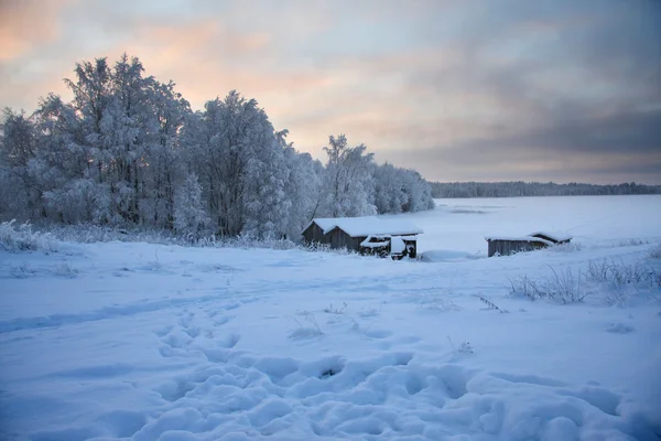 Karelya kışın — Stok fotoğraf