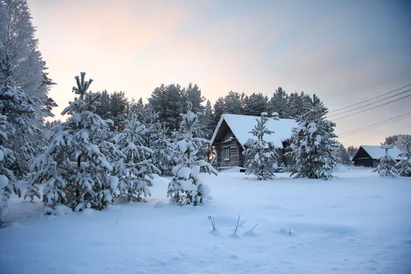 Zima w Karelii Zdjęcie Stockowe