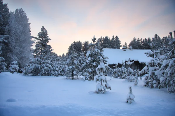 Zima w Karelii Obrazy Stockowe bez tantiem