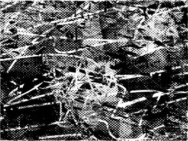 Siyah beyaz desenli, noktalı, lekeli, çizik ve çizikli sıkıntılı bir arkaplan. Soyut vektör illüstrasyonu.