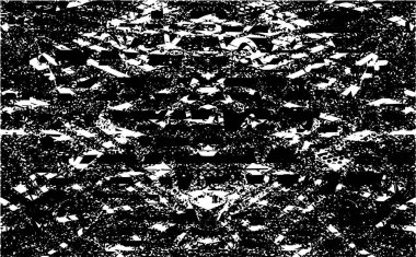 Siyah beyaz desenli, noktalı, lekeli, çizik ve çizikli sıkıntılı bir arkaplan. Soyut vektör illüstrasyonu.