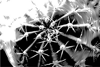 Siyah beyaz desenli, noktalı, lekeli, çizik ve çizikli sıkıntılı bir arkaplan. Soyut vektör illüstrasyonu.