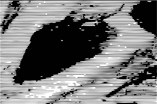 Çizik ve çiziklerle dolu siyah beyaz bir arka plan. Soyut vektör illüstrasyonu.