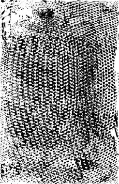 Siyah beyaz desenli, noktalı, lekeli, çizik ve çizikli sıkıntılı bir arkaplan. Soyut vektör illüstrasyonu.