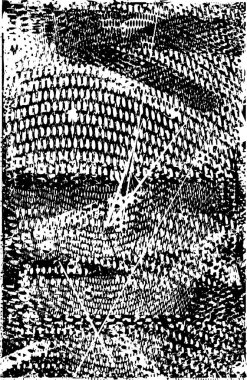 Siyah beyaz desenli, noktalı, lekeli, çizik ve çizikli sıkıntılı bir arkaplan. Soyut vektör illüstrasyonu.