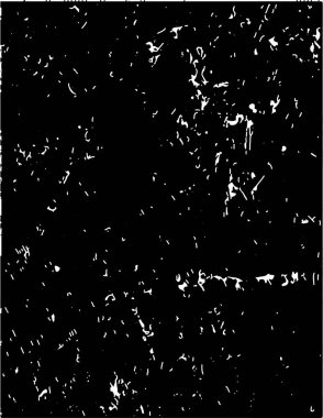 Siyah beyaz desenli, noktalı, lekeli, çizik ve çizikli sıkıntılı bir arkaplan. Soyut vektör illüstrasyonu.