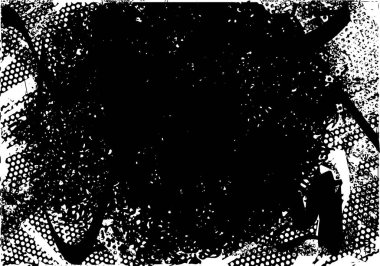 Siyah beyaz desenli, noktalı, lekeli, çizik ve çizikli sıkıntılı bir arkaplan. Soyut vektör illüstrasyonu.