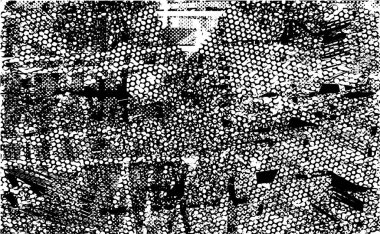 Siyah beyaz desenli, noktalı, lekeli, çizik ve çizikli sıkıntılı bir arkaplan. Soyut vektör illüstrasyonu.