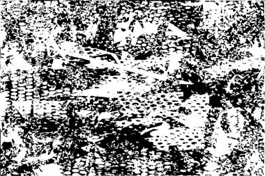 Siyah beyaz desenli, noktalı, lekeli, çizik ve çizikli sıkıntılı bir arkaplan. Soyut vektör illüstrasyonu.