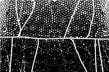 Çizik ve çiziklerle dolu siyah beyaz bir arka plan. Soyut vektör illüstrasyonu.