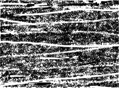 Çizik ve çiziklerle dolu siyah beyaz bir arka plan. Soyut vektör illüstrasyonu.