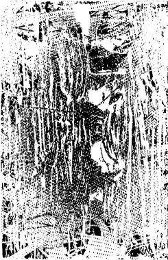 Çizik ve çiziklerle dolu siyah beyaz bir arka plan. Soyut vektör illüstrasyonu.