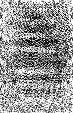 Çizik ve çiziklerle dolu siyah beyaz bir arka plan. Soyut vektör illüstrasyonu.