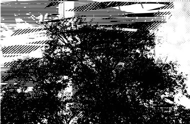 Çizik ve çiziklerle dolu siyah beyaz bir arka plan. Soyut vektör illüstrasyonu.