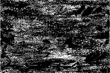 Çizik ve çiziklerle dolu siyah beyaz bir arka plan. Soyut vektör illüstrasyonu.