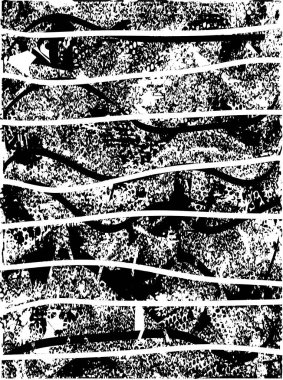 Çizik ve çiziklerle dolu siyah beyaz bir arka plan. Soyut vektör illüstrasyonu.