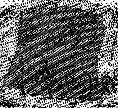 Çizik ve çiziklerle dolu siyah beyaz bir arka plan. Soyut vektör illüstrasyonu.