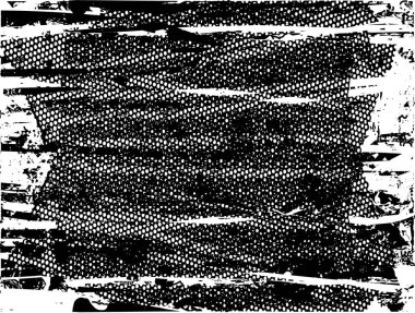 Çizik ve çiziklerle dolu siyah beyaz bir arka plan. Soyut vektör illüstrasyonu.