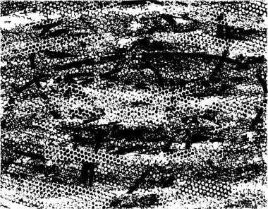 Çizik ve çiziklerle dolu siyah beyaz bir arka plan. Soyut vektör illüstrasyonu.