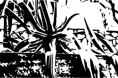 Çizik ve çiziklerle dolu siyah beyaz bir arka plan. Soyut vektör illüstrasyonu.