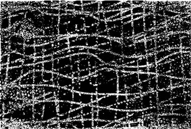 Siyah beyaz desenli, noktalı, lekeli, çizik ve çizikli sıkıntılı bir arkaplan. Soyut vektör illüstrasyonu.