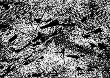 Siyah beyaz desenli, noktalı, lekeli, çizik ve çizikli sıkıntılı bir arkaplan. Soyut vektör illüstrasyonu.