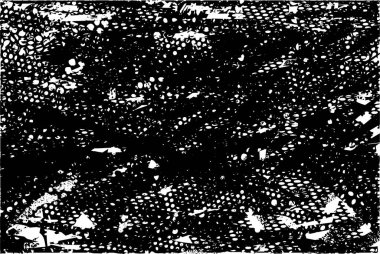 Çizik ve çiziklerle dolu siyah beyaz bir arka plan. Soyut vektör illüstrasyonu.