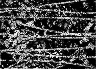 Çizik ve çiziklerle dolu siyah beyaz bir arka plan. Soyut vektör illüstrasyonu.