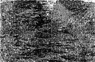 Çizik ve çiziklerle dolu siyah beyaz bir arka plan. Soyut vektör illüstrasyonu.