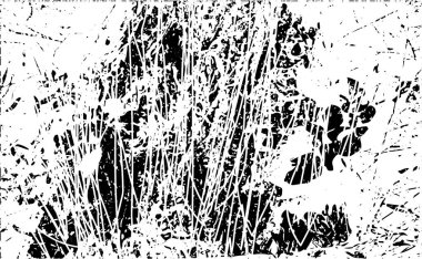 Çizik ve çiziklerle dolu siyah beyaz bir arka plan. Soyut vektör illüstrasyonu.