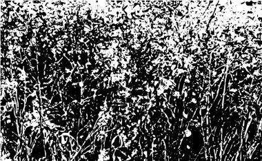 Çizik ve çiziklerle dolu siyah beyaz bir arka plan. Soyut vektör illüstrasyonu.