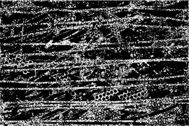 Çizik ve çiziklerle dolu siyah beyaz bir arka plan. Soyut vektör illüstrasyonu.