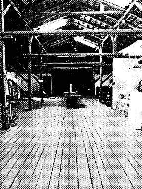 Çizik ve çiziklerle dolu siyah beyaz bir arka plan. Soyut vektör illüstrasyonu.