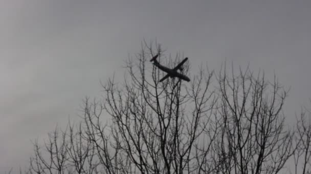 Αεροσκάφος Που Πετά Χαμηλά Φαίνεται Πάνω Από Δέντρα Χωρίς Φύλλα — Αρχείο Βίντεο