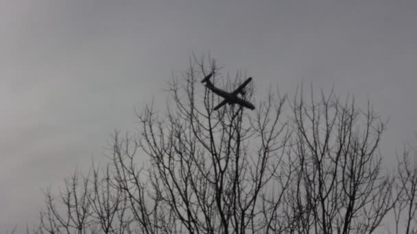 Avion Ligne Volant Bas Dessus Des Arbres Sans Feuilles — Video