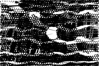 Çizik ve çiziklerle dolu siyah beyaz bir arka plan. Soyut vektör illüstrasyonu.