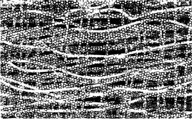 Çizik ve çiziklerle dolu siyah beyaz bir arka plan. Soyut vektör illüstrasyonu.
