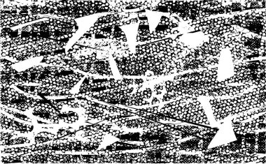 Çizik ve çiziklerle dolu siyah beyaz bir arka plan. Soyut vektör illüstrasyonu.